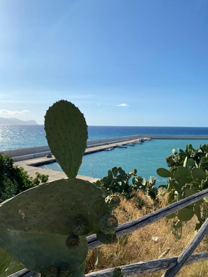 Casa Vacanze Il Girasole Balestrate Exteriér fotografie